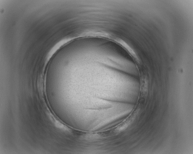 X0000082751094200702021404