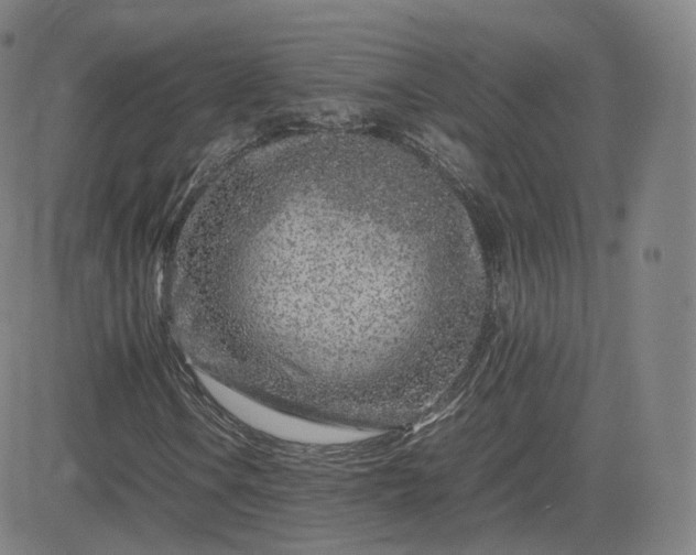 X0000082751106200702021403