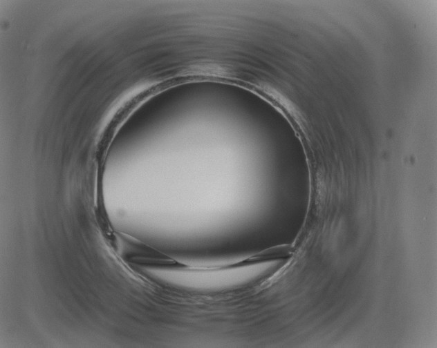 X0000082751123200702021404