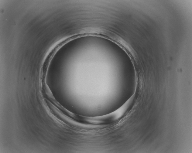 X0000082751124200702021404
