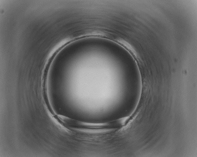 X0000082751135200702021404