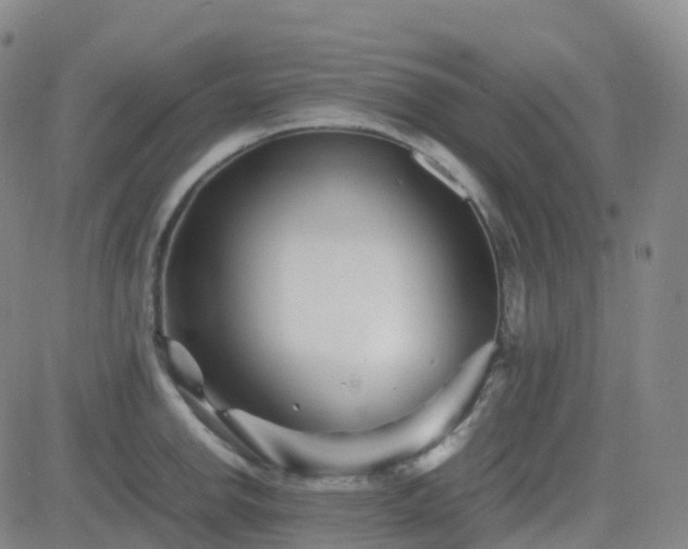 X0000082751142200702021404