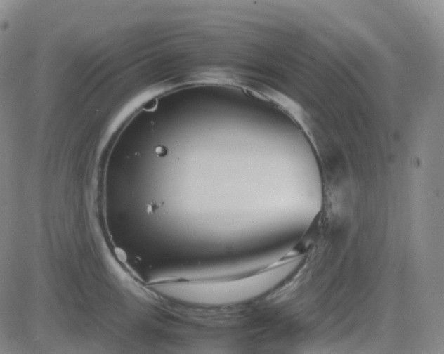 X0000082751147200702021404