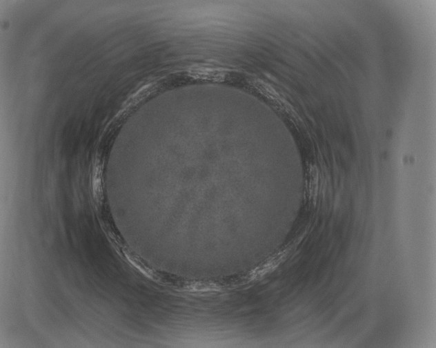 X0000082751154200702021403