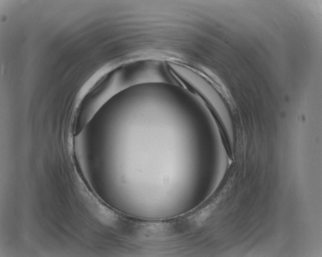 X0000082751188200702021403