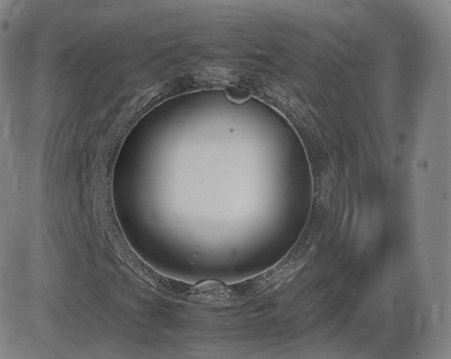X0000082751201200702021402