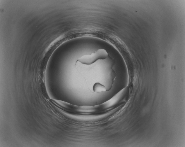 X0000082751210200702021402