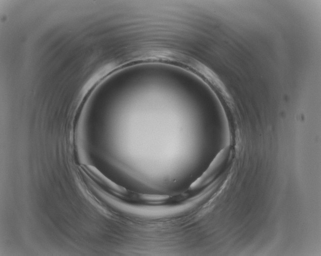 X0000082751234200702021402