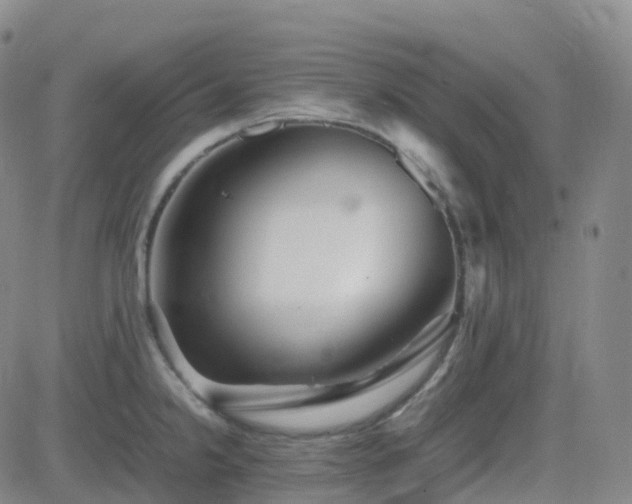 X0000082751238200702021402