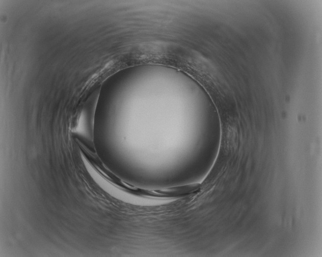 X0000082751250200702021402