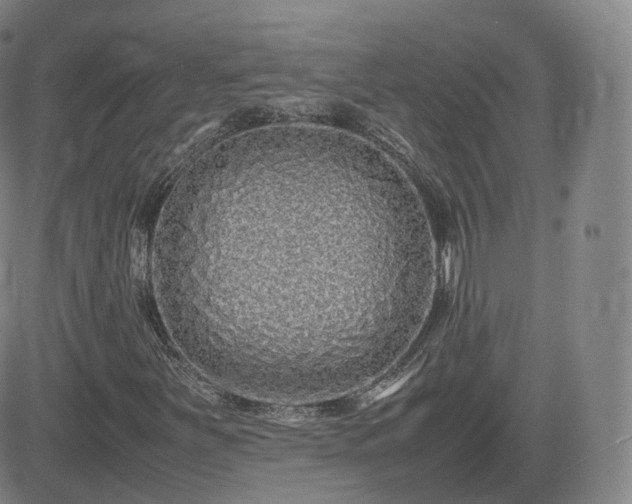 X0000082751251200702021402