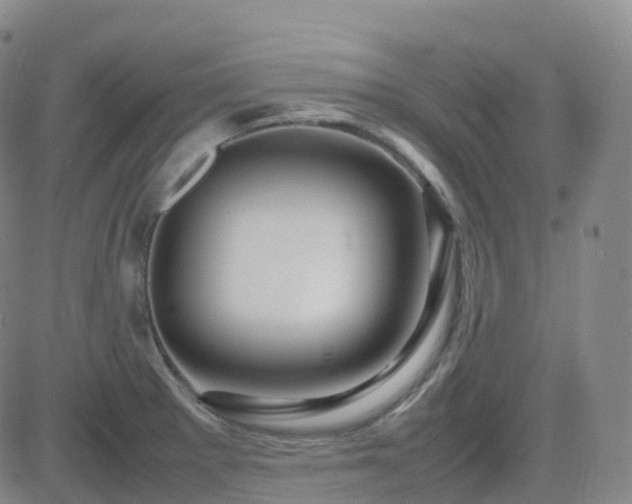 X0000082751281200702021401