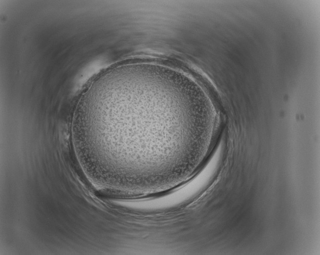 X0000082751355200702021400