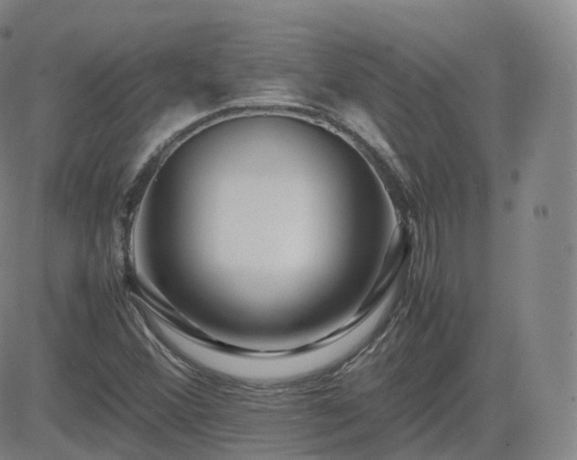 X0000082751356200702021400