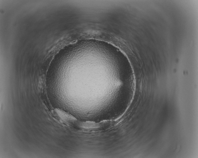 X0000082751397200702021359