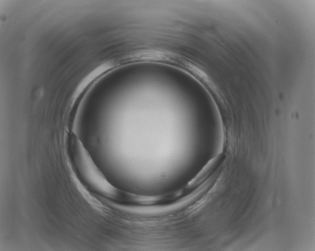 X0000082751426200702021359