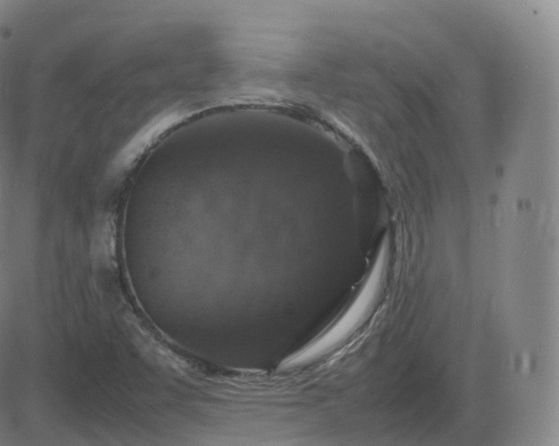 X0000082751455200702021358