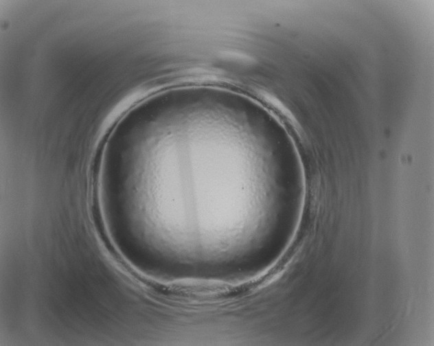 X0000082751467200702021358