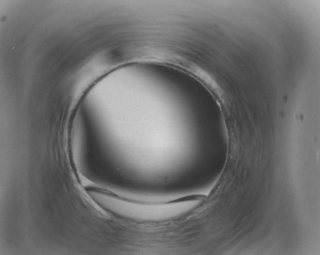 X0000082751480200702021358