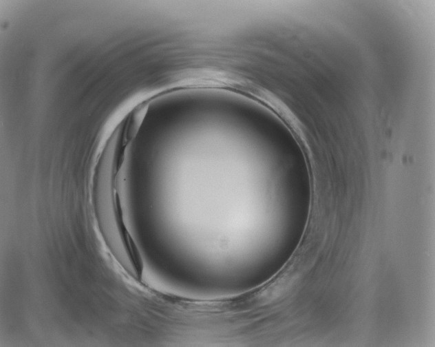 X0000082751488200702021358