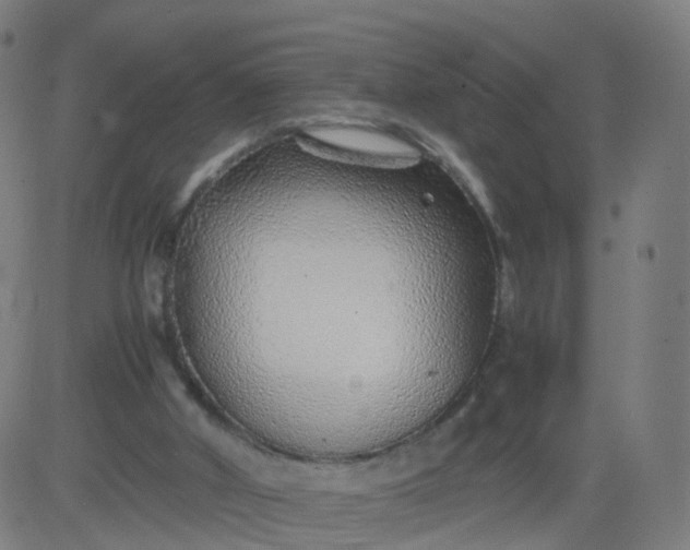 X0000082750010200702091940