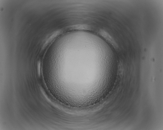 X0000082750014200702091940