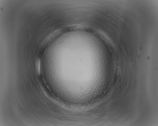 X0000082750022200702091940