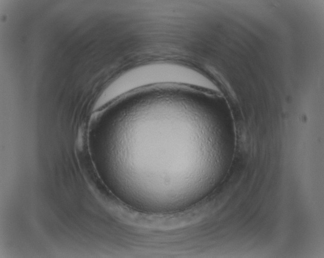 X0000082750026200702091940