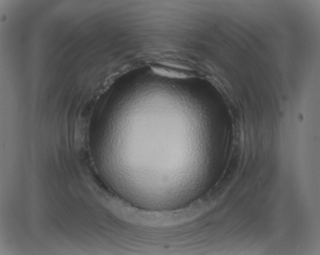 X0000082750030200702091939
