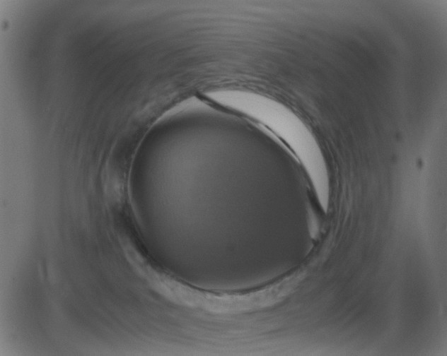 X0000082750039200702091939
