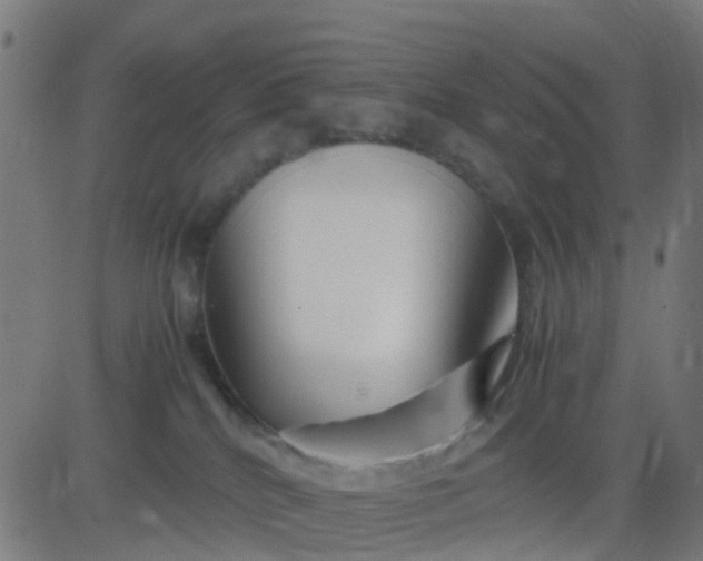 X0000082750040200702091939