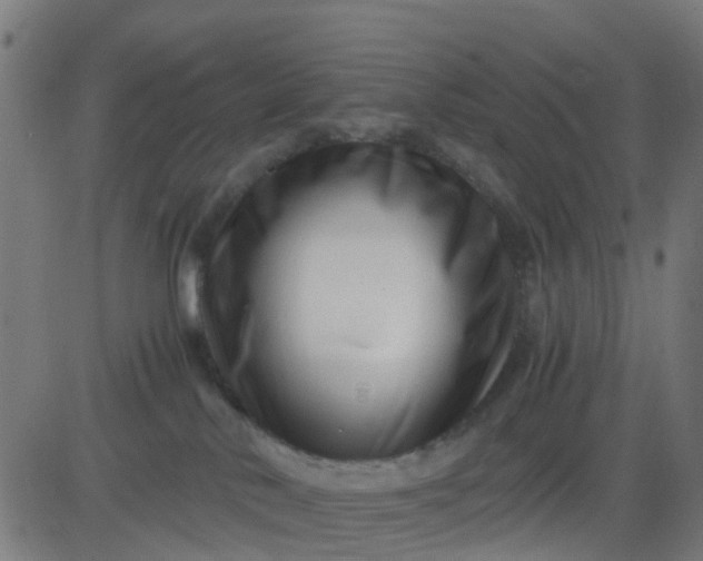 X0000082750042200702091939