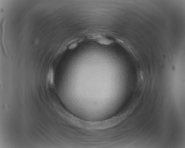 X0000082750046200702091939