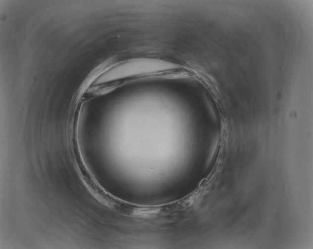 X0000082750051200702091938