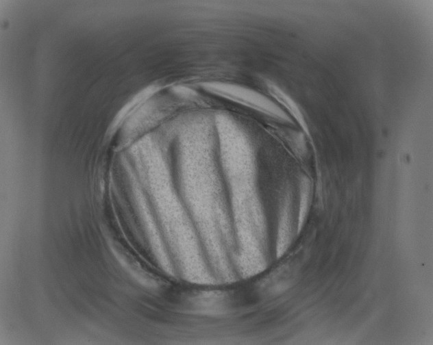 X0000082750059200702091939