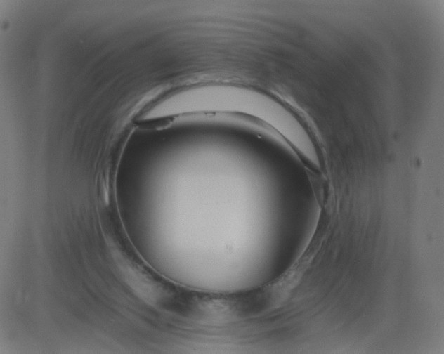 X0000082750062200702091939