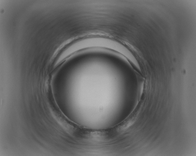 X0000082750064200702091939