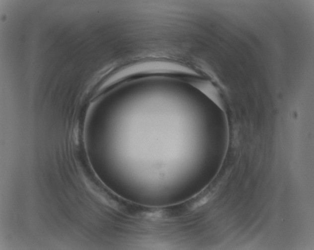 X0000082750068200702091939