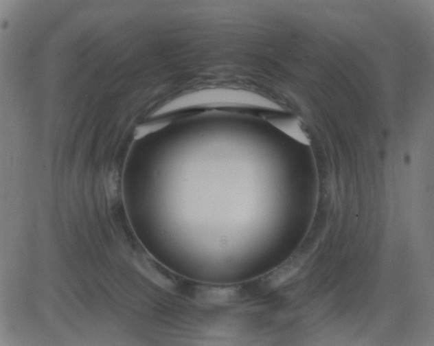 X0000082750081200702091939