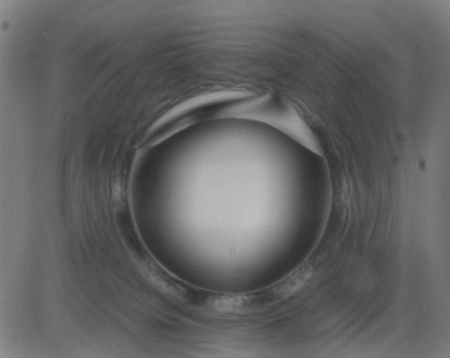 X0000082750084200702091939