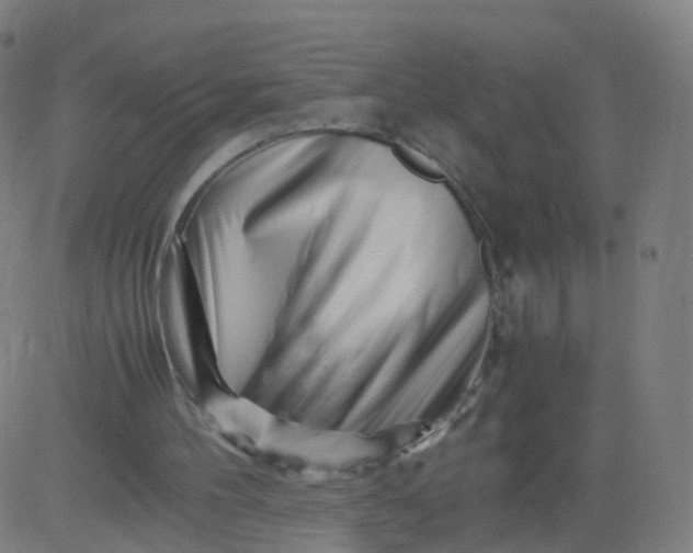 X0000082750100200702091938