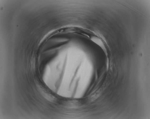 X0000082750108200702091938