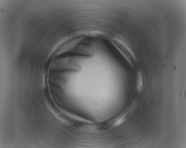 X0000082750110200702091938