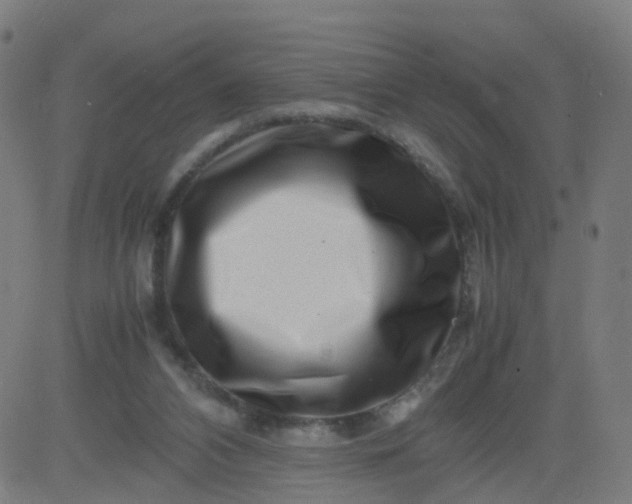 X0000082750112200702091938