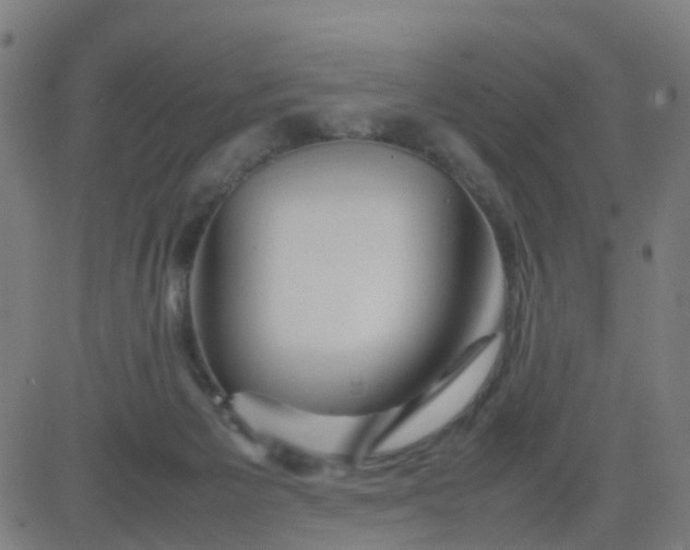 X0000082750125200702091938