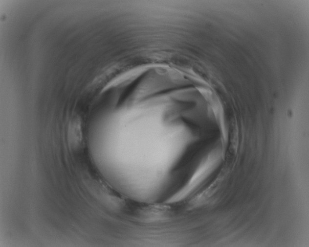 X0000082750128200702091938