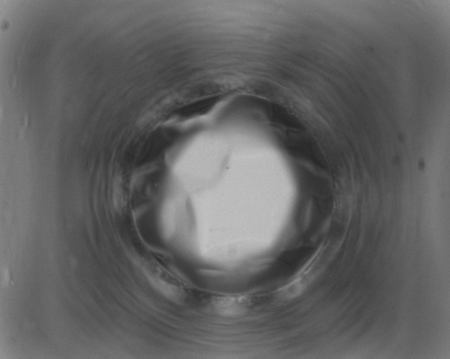 X0000082750136200702091938