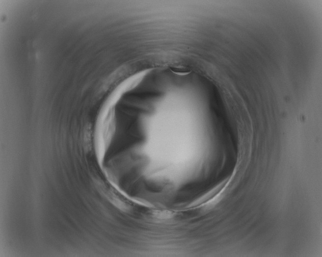 X0000082750144200702091938