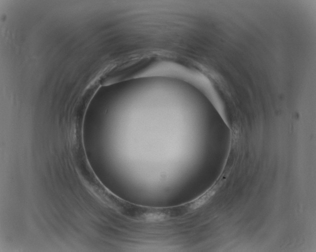 X0000082750158200702091937