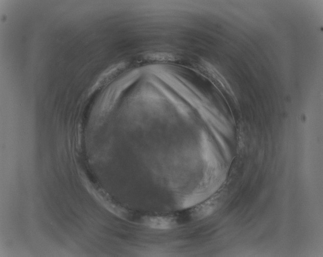 X0000082750163200702091937